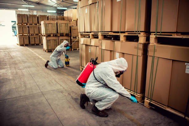 Best Affordable Pest Control Services  in St Francis, WI