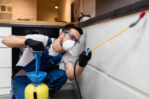 Best Pest Inspection Near Me  in St Francis, WI