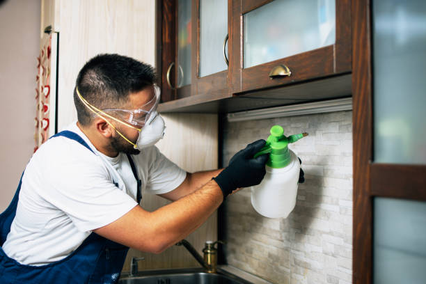 Best Pest Control for Restaurants  in St Francis, WI