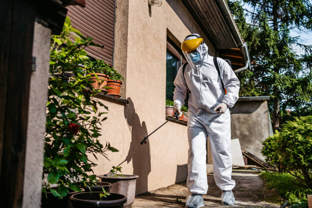 Best Pest Removal Services  in St Francis, WI