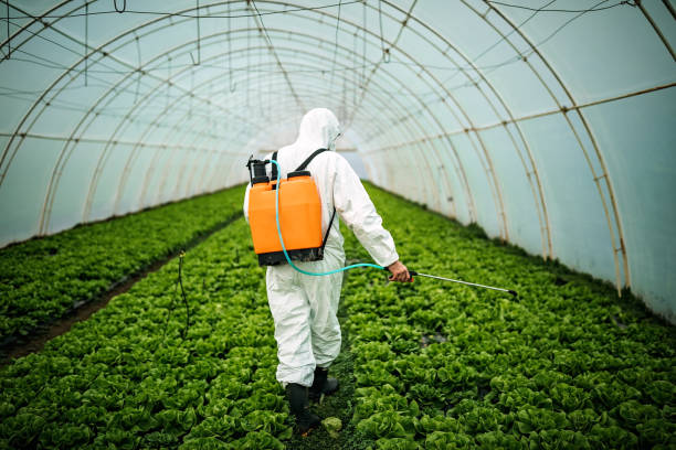 Best Ant Control Services  in St Francis, WI