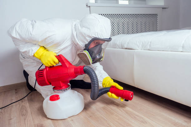Best Local Pest Control Services  in St Francis, WI