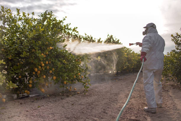 Flea Control Services in St Francis, WI