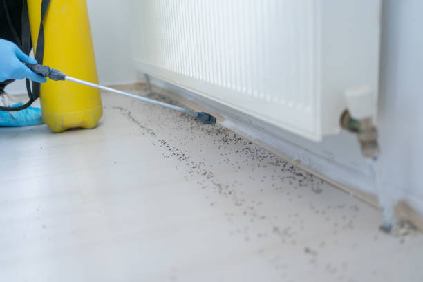 Best Residential Pest Control  in St Francis, WI