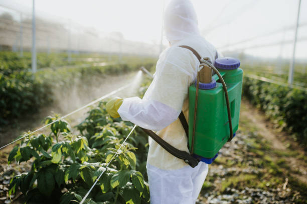 Best Wildlife Control Services  in St Francis, WI